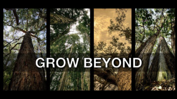 Grow Beyond